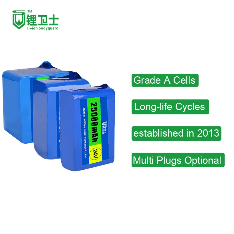 Lws Lithium Iron E-Bike Battery 24V 8s1p 2000mAh Battery Pack