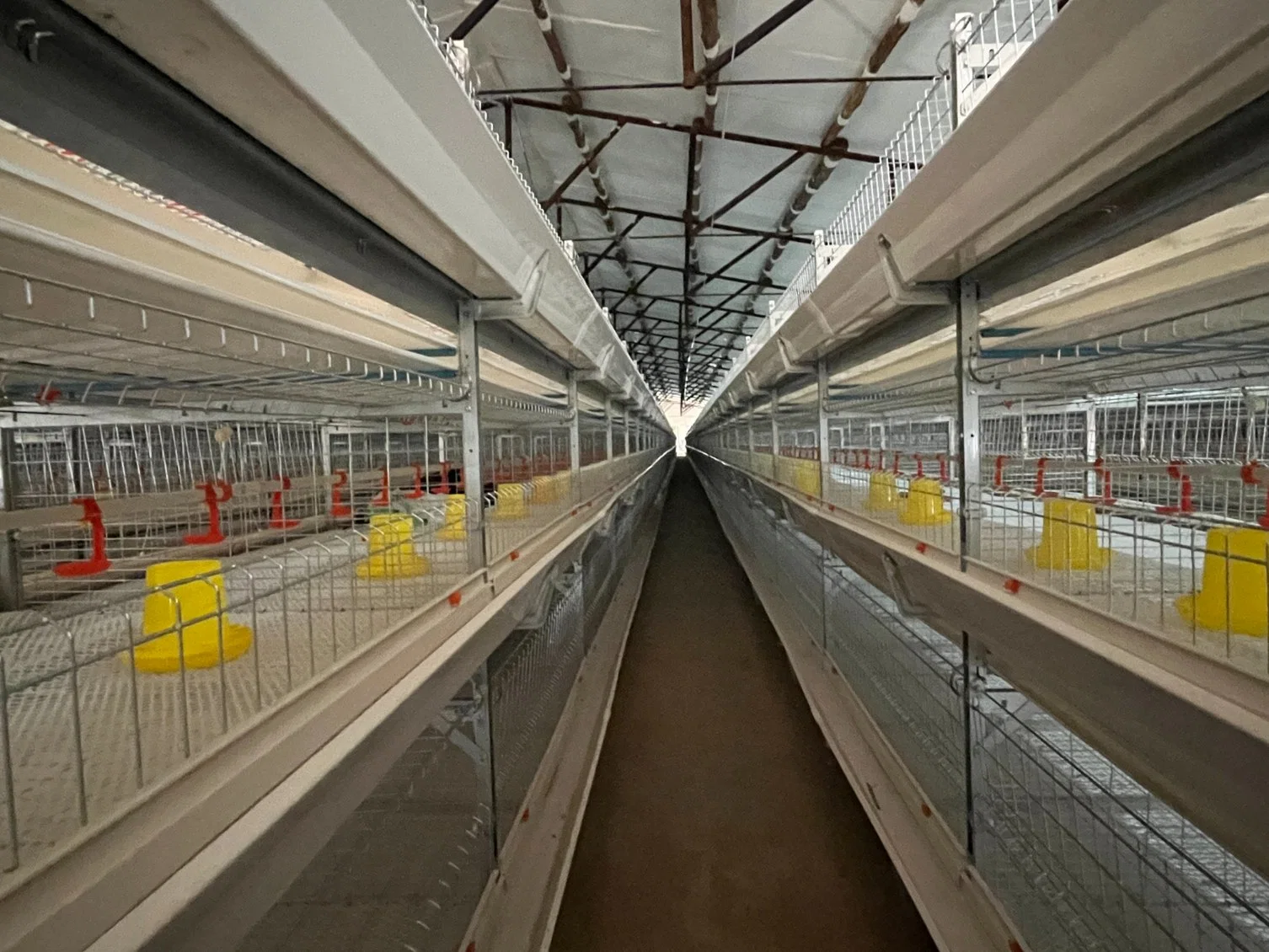 L'élevage de volaille Cage automatique de matériel agricole Système d'alimentation pour les poulets à griller