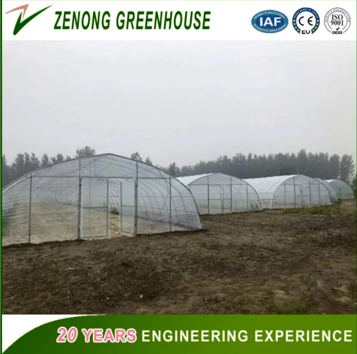 Intelligent Po Film Tunnel Greenhouse with Outside Shading System for Seed Nursery/Agriculture Planting Vegetables/Flowers/Fruits