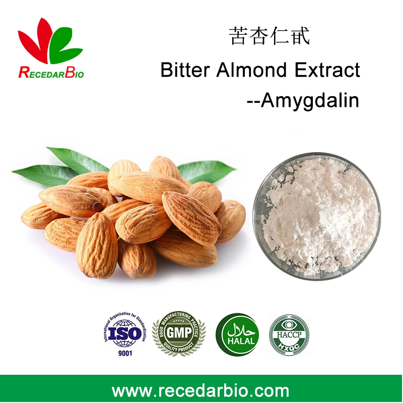 Bitter Aprikosensamen Bitter Mandel Seed Extract 98% Pulver Amygdalin