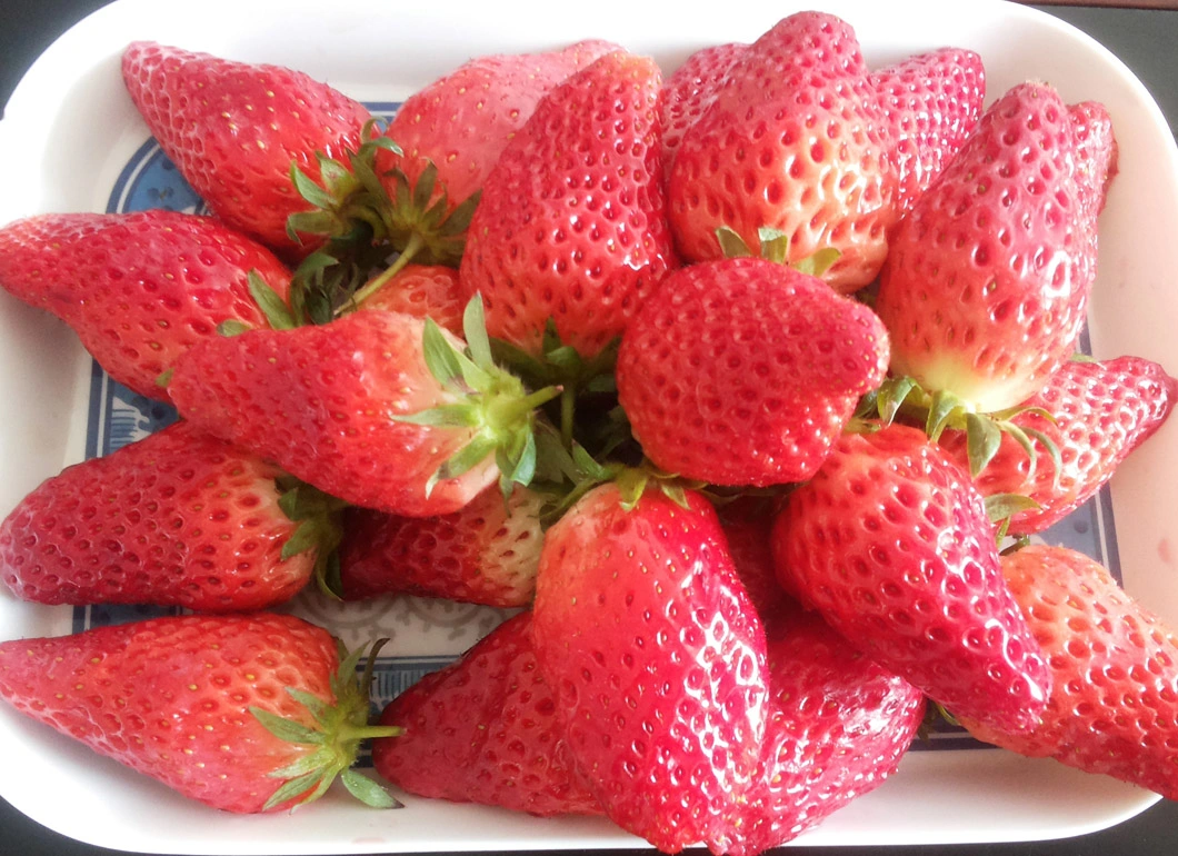 Wholesale Frozen Strawberries IQF Strawberries Grade a