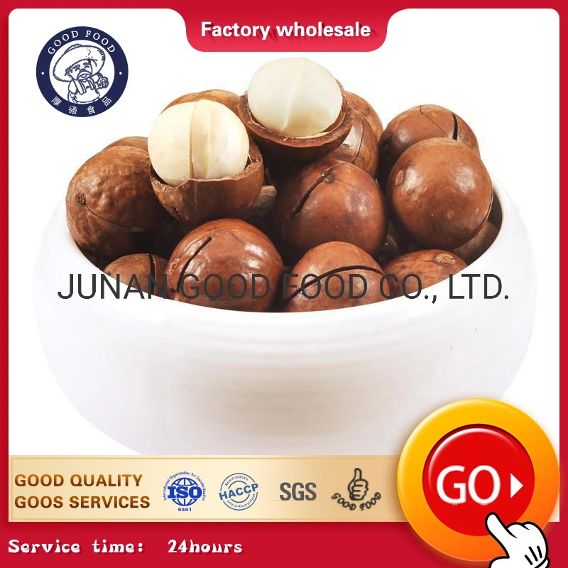 Best Grade a Quality Raw Macadamia Nuts