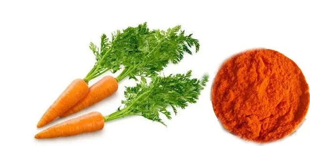 Carrot Extract Powder Beta Carotene in Powder 98%, 10%, 20%, 1%, 30% Beta Carotene