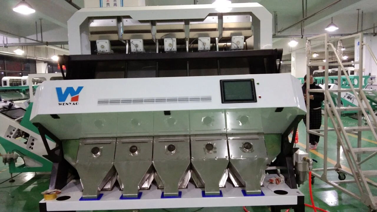 Rose Seeds Color Separator Machine in Rosehip Processing Line