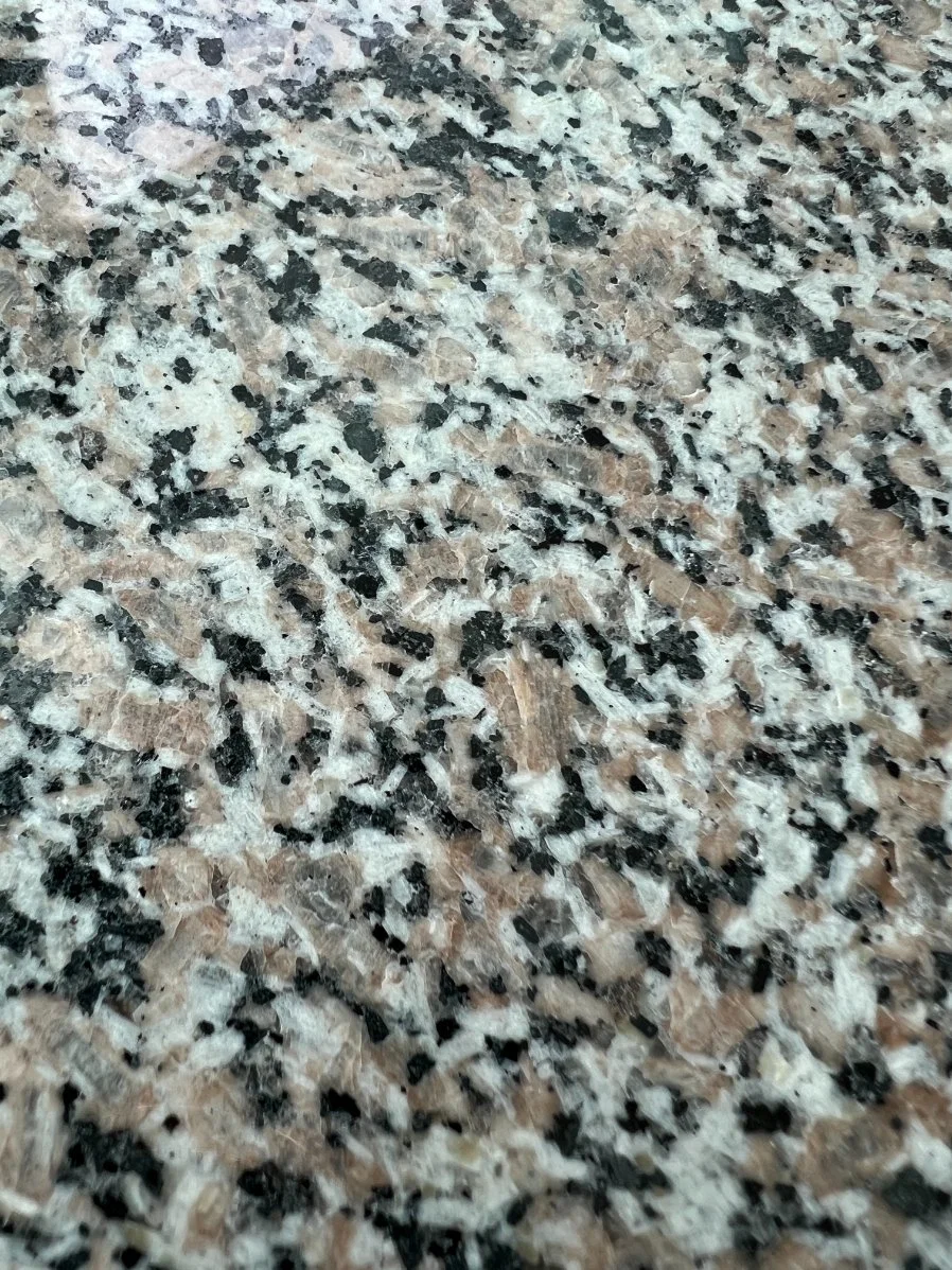 New Wu Lian Grey Granite for Floor, Plate, Countertop, Indoor Wall, Floor Square Floor Tile, Roadside Stone