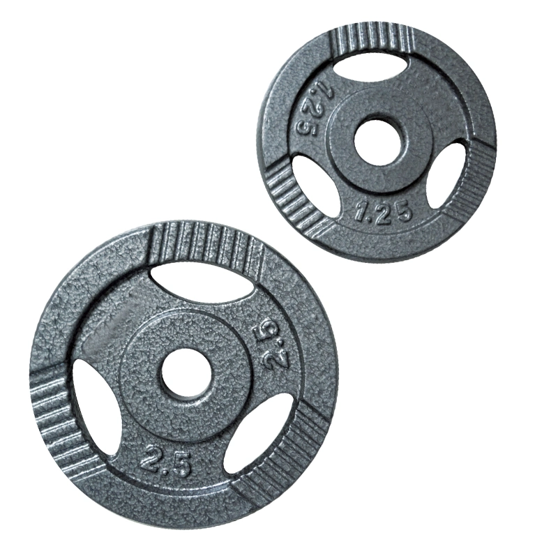 Popular Gray Weight Plate Dumbbell Plate with Different Weight