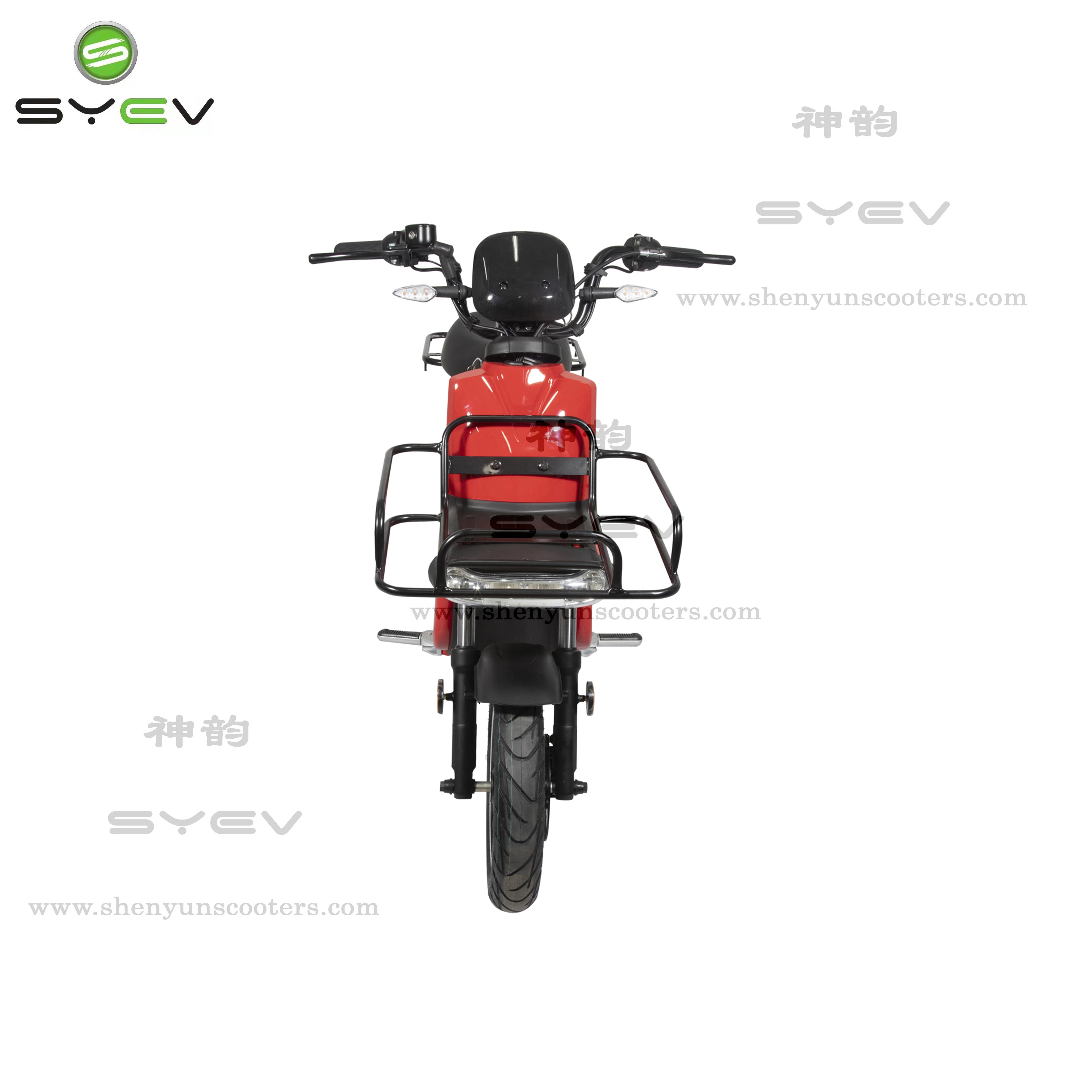 Syev EEC Approve Cargo Delivery Strong E-Motorcycle Electric Scooter Disc Brake