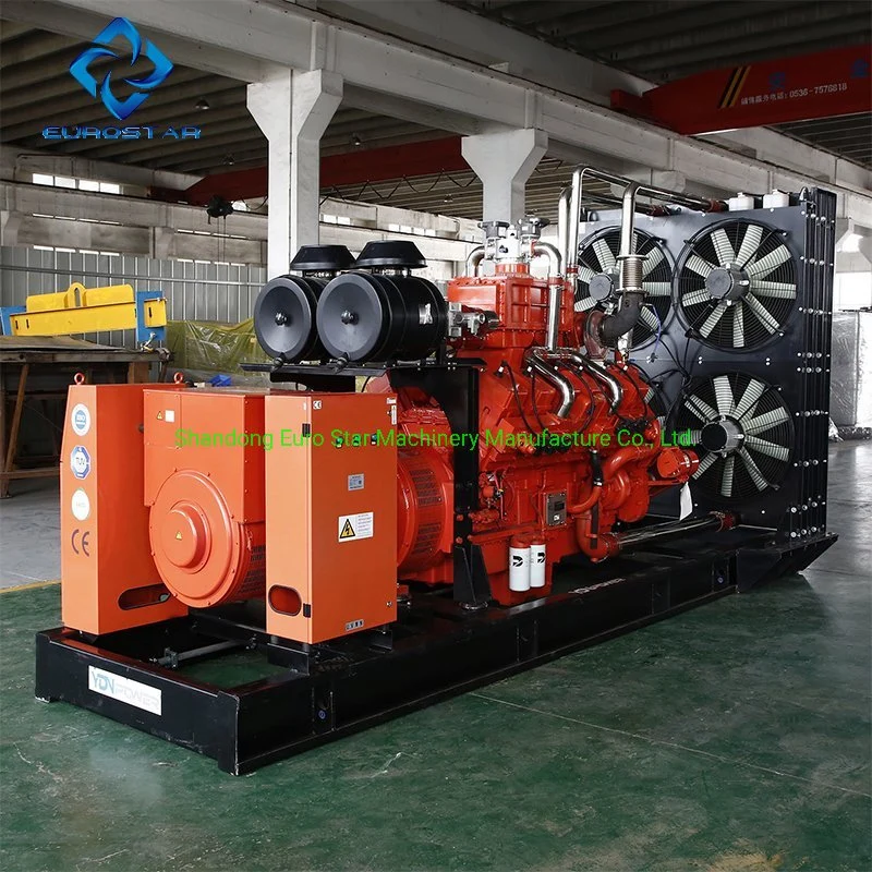 800kw 1000kVA Biogas Generator Silent Type Gas Generator