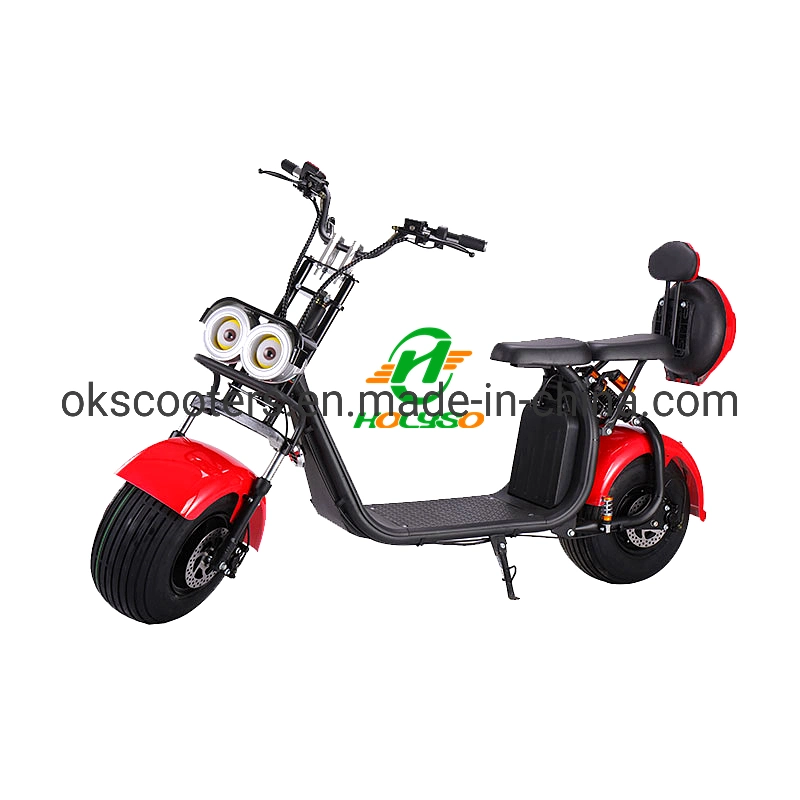 Coc EEC Removable Battery Scooter EEC Electric Scooters 1500 Watts