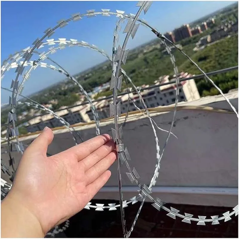 High quality/High cost performance  Fence Razor Wire Products