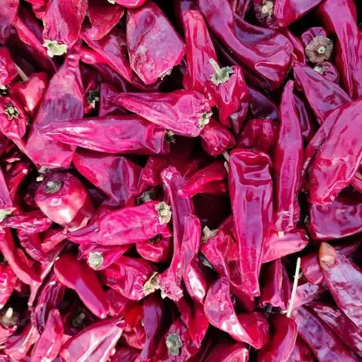 Chili rouge assaisonné de qualité alimentaire