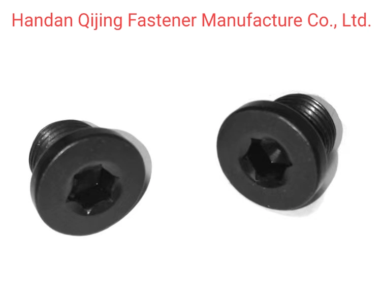 Black Magnetic Oil Plug with Outer Hexagon Threadscrew Oil Drain Plug Pipe Plug Screw