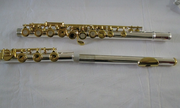 Flute / Nickel Silver / Professional /17 Holes Flute (FL17KEG-S)