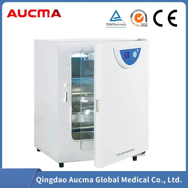 Laboratory Electrical Thermostat Incubator Machine, Constant Temperature Cells Incubator Chamber