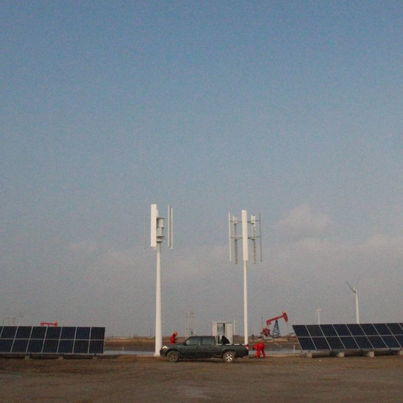 China Fabrik heißer Verkauf Vertikale Turbine Leistung 30kw Preis Wind Energy Home