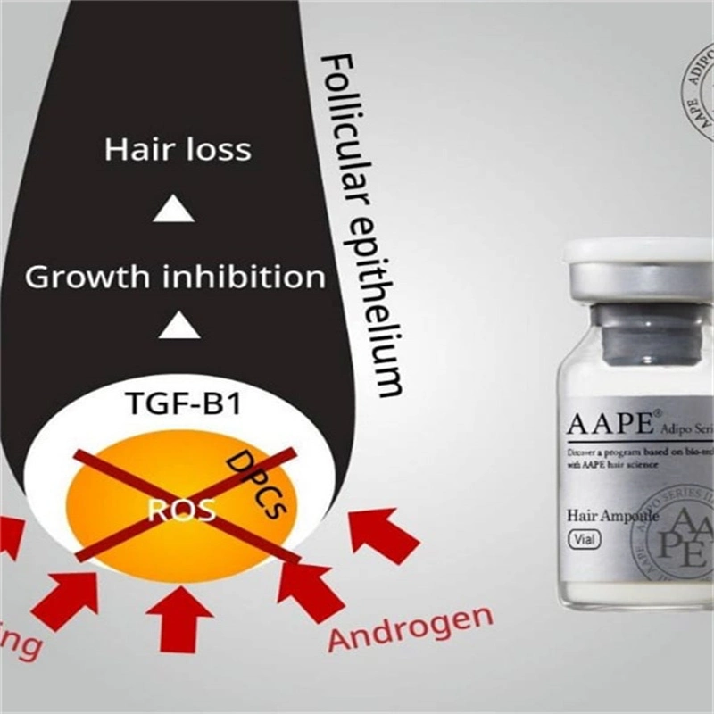 Aape Extracted From Human Adipose Stem Cells Anti-Aging Hair Loss Control or Promote Skin Regeneration and Hair Growth Bcn