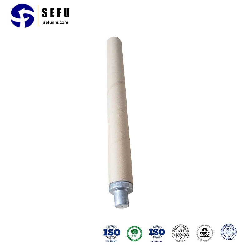 Sefu China Expendable Thermocouple Tip Manufacturing Fast Thermocouple Immersion Thermocouple Probes with Connection Head