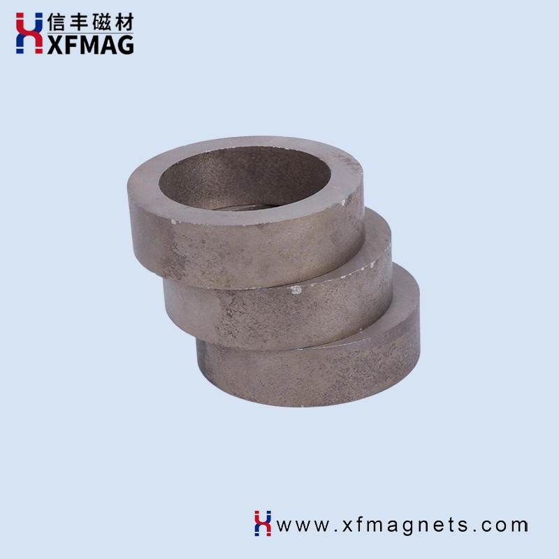 Customized Size Rare Earth Permanent Strong Magnetic Material SmCo Magnet Ring