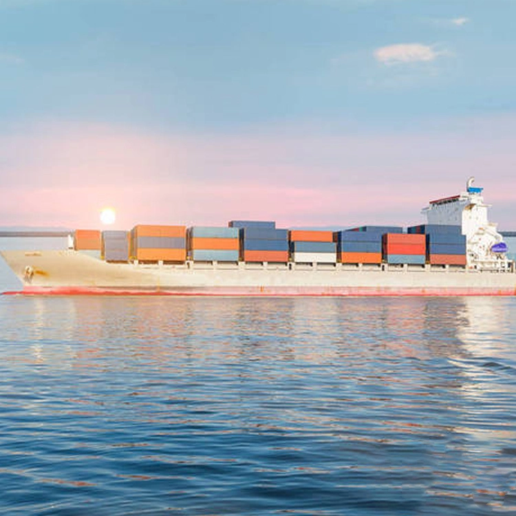 Seeschifffahrt LCL Spediteur von China nach Le Havre France Professional Schnell Zuverlässige Logistik-Dienstleistungen