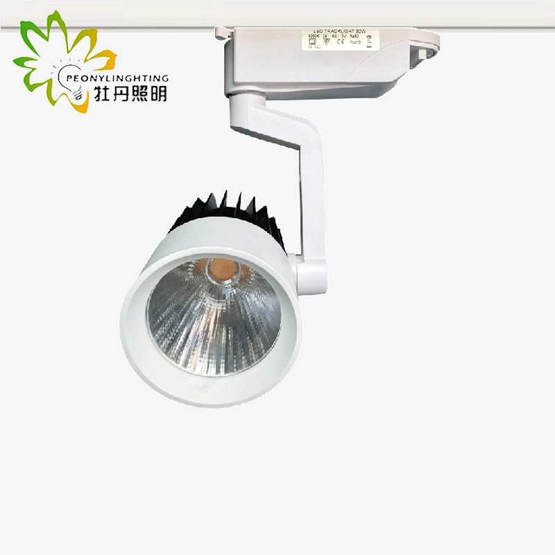 Cheapest 2 Wires COB LED Track Lamp 30W with 24 Degree Beam Angle