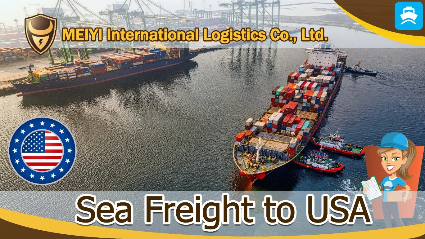 Shipping services forwarder from China to  San Marino by Sea Freight DDP DDU international shipping agent