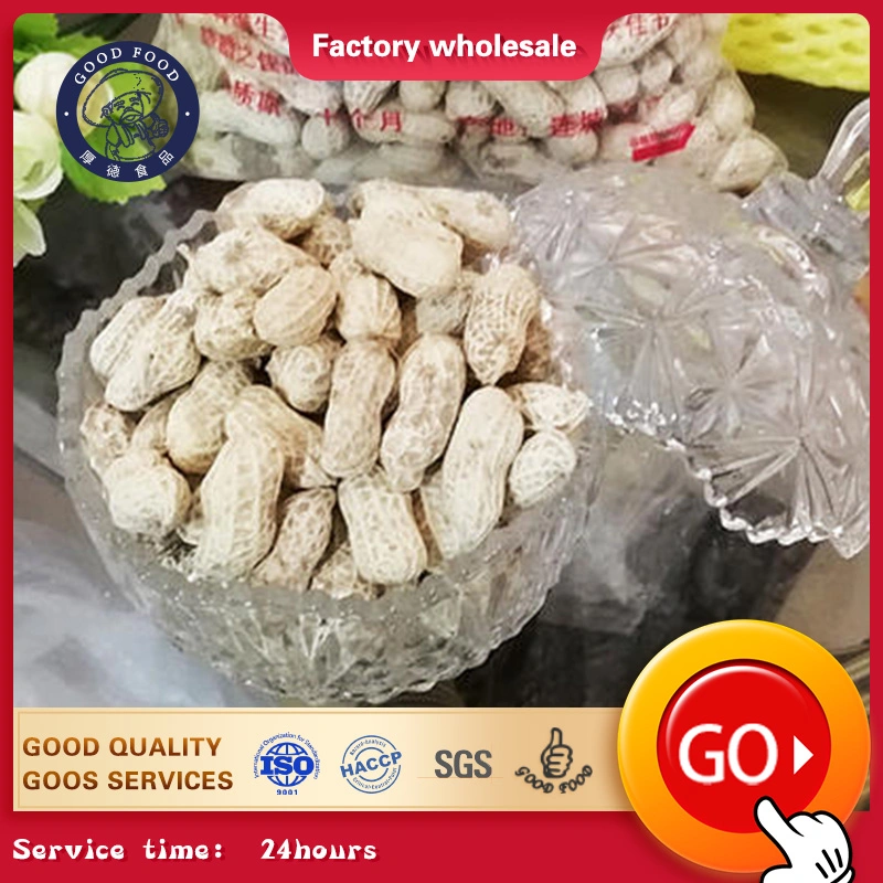 Professional Production Blanched Peanut Kernels New Crop Good Quality Round Shape Blanched Kernel Peanut