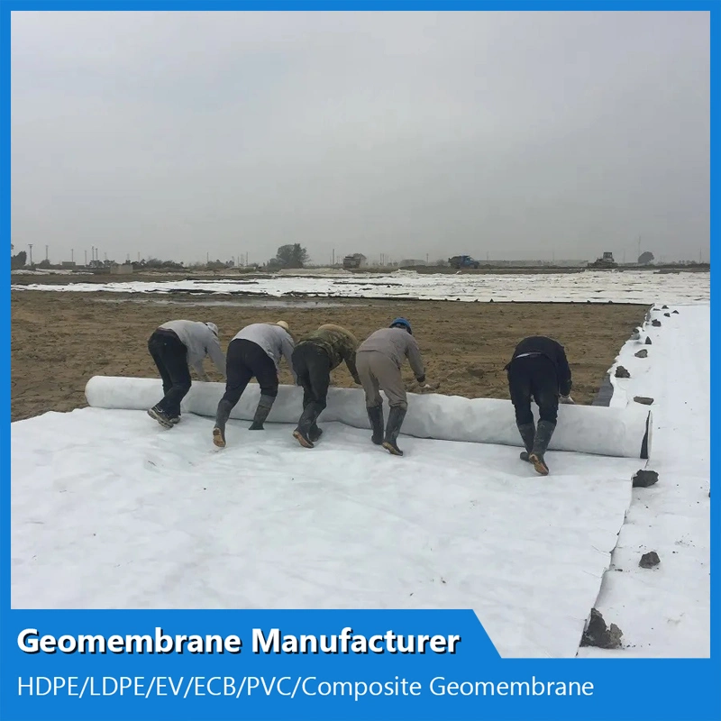 300g-0.6mm-300g Composite Geomembrane with Two Layers Geotextile One Layer Geomembrane for Fish Ponds/Shrimp Ponds/ Oxidation Ponds/Livestock Breeding