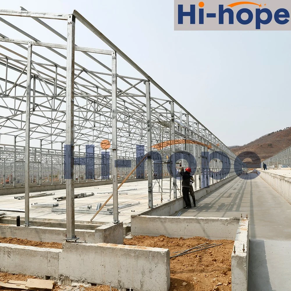 Low Cost Chicken Shed Poultry Building with Factory Price