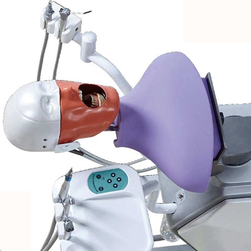 وحدة التدريب الكاملة نظام محاكاة نموذج رأس النموذج الأسناني