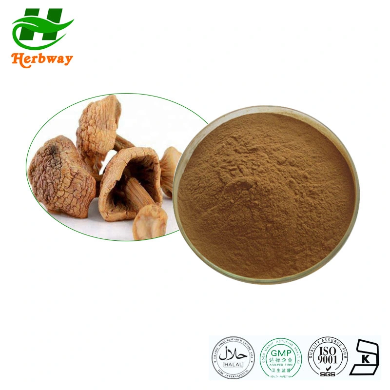 Herbway Cordyceps Acid Antibacterial Regulating Immunity Agaricus Blazei Cordyceps Sinensis Extract