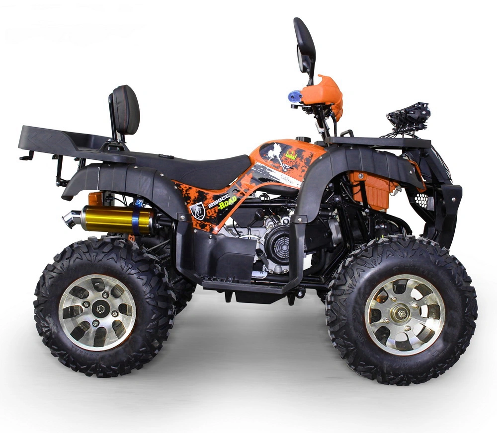 250cc Quads Quadricycles à quatre roues pour adultes