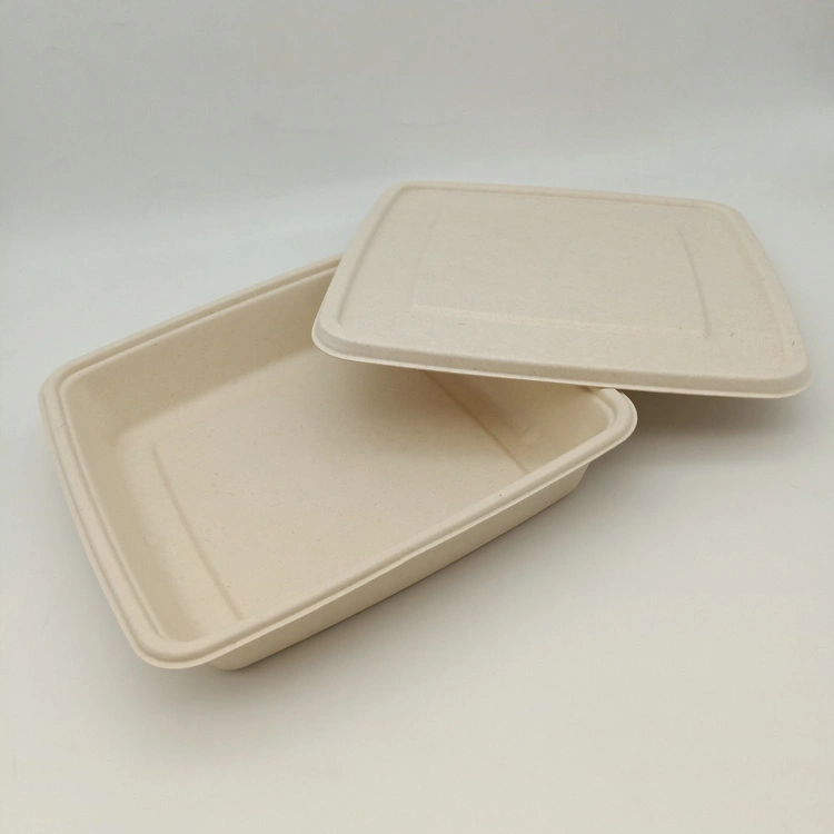 Sugarcane Pulp Square Tray with Lid