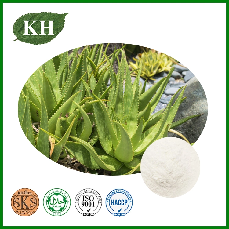 Professional Manufacturer Aloe Vera Extract Gel Freeze Dried Powder