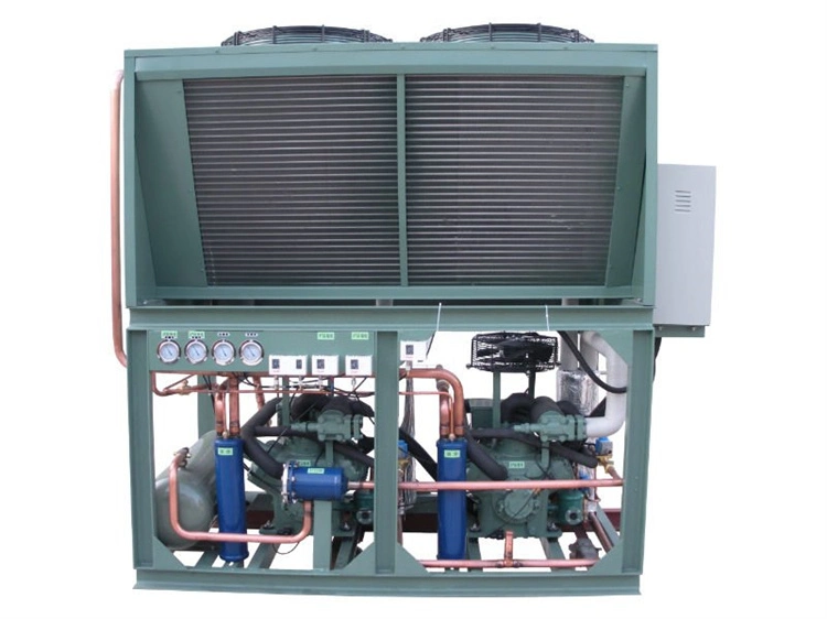 Condensing Units Refrigeration Compressor Equipment for Cold Room Storage