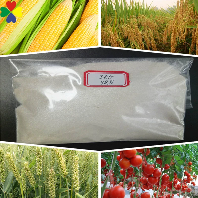 Farm Chemicals Iaa Indole 3 Acetic Acid 99%Tc