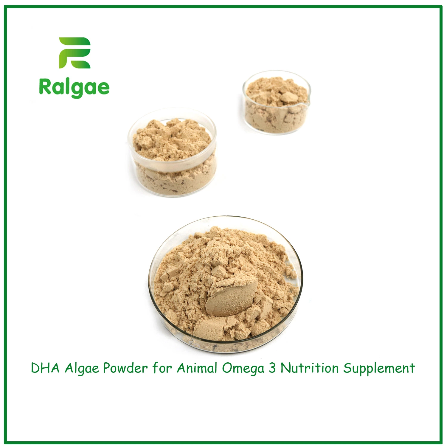 High DHA Omega-3 Microalgae Schizochytrium Powder Feed Grade DHA for Animal CAS6217-54-5