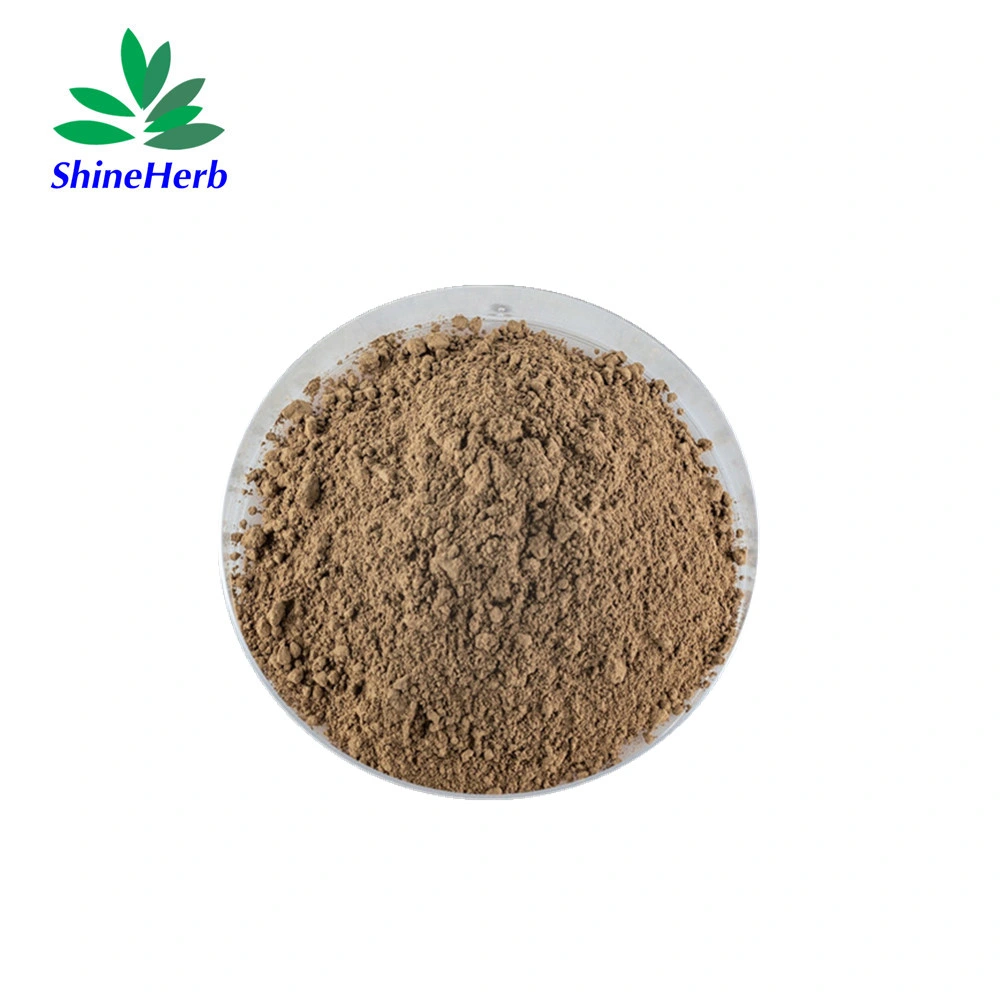Natural Herbal Extract Kacip Fatimah Extract 10: 1 Powder