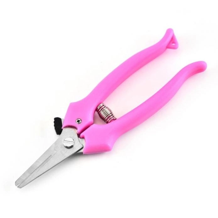 Steel Professional Picking Fruit Plant Scissors with Groove and with Plastic Handle for Grape Pruning