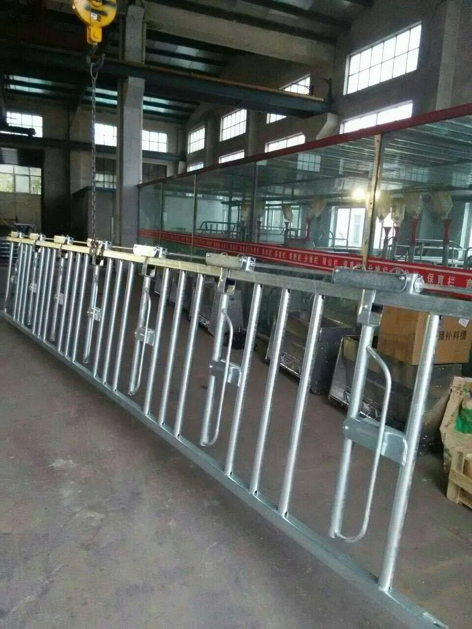 Fabrication de machines Hot DIP Poulry Cheap ferme d'élevage de la qualité Headlock vache