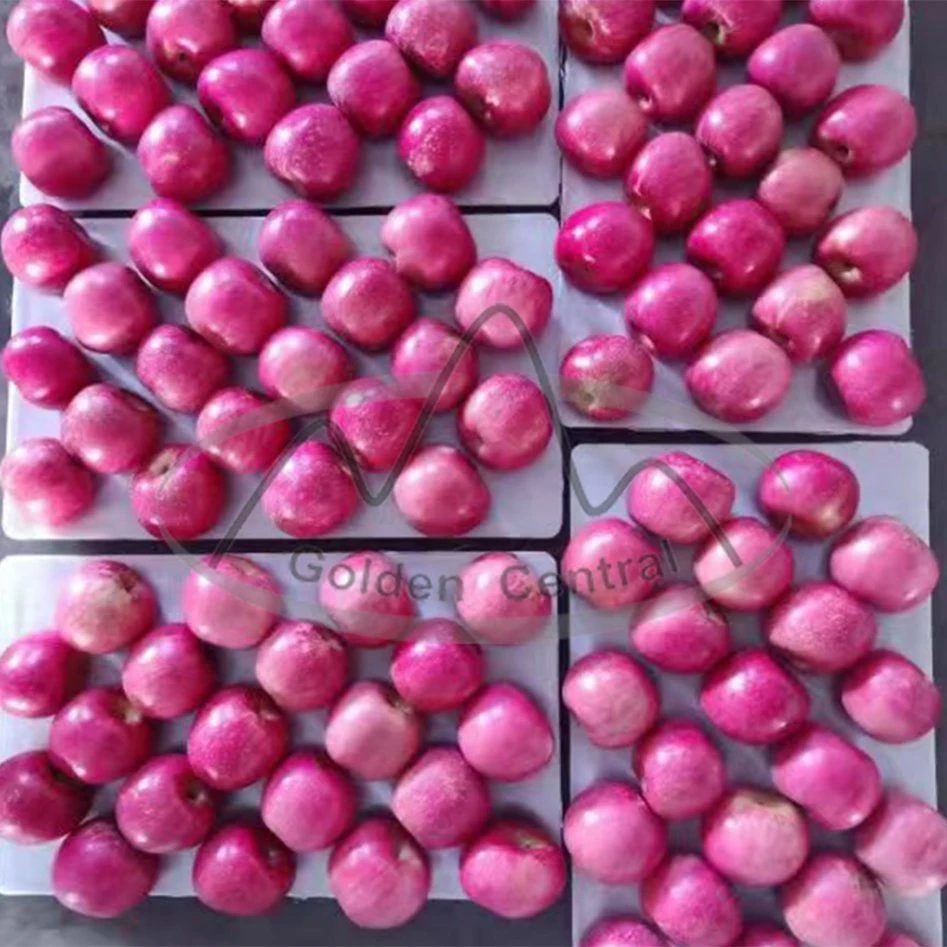 2023 jugosas manzanas Fuji rojo fresco Fabricantes Natural Precio más bajo