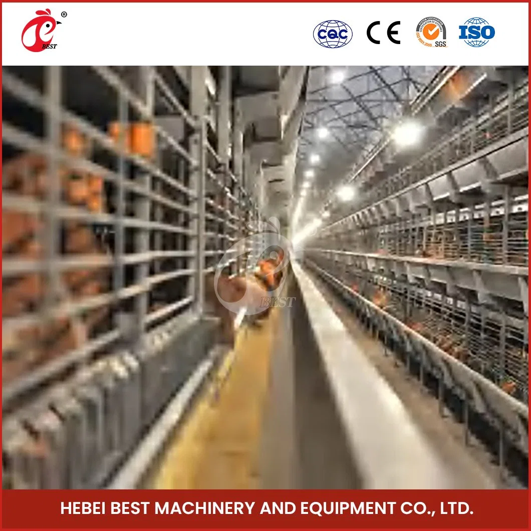 Bestchickencage H Type Automatic Pullet Cage China Fox Proof Pullet Chicken Coop Factory Wholesale/Supplier Long Service Life Pullet Hen Chicken Coop Under $200