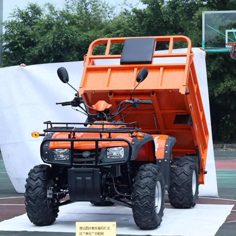 Aerobs Shaft Drive Chongqing, China Electric 4X2 Youth ATV BS300u-2WD-1.6