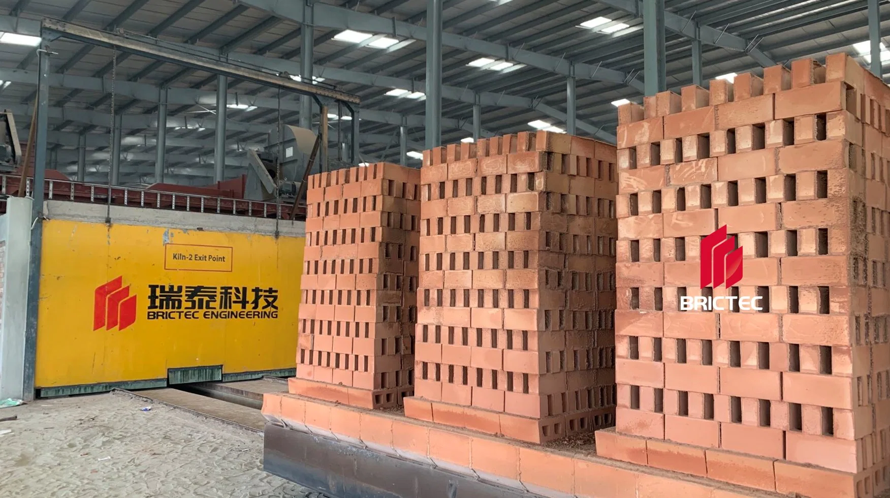 Clay Red Bricks Production Line Machinery Hot Sale Vacuum Extruder Bricks Moulding Equipment Red Clay Bricks Making Machine