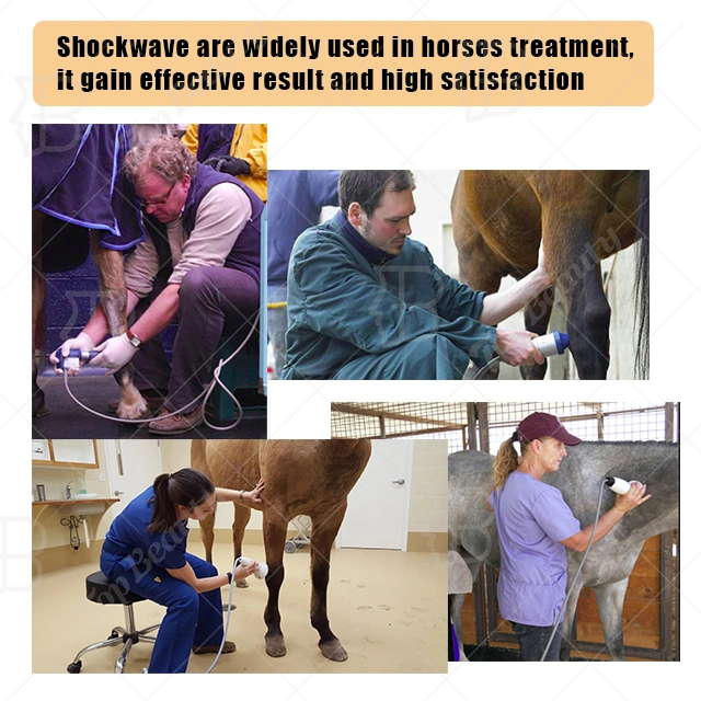 New Portable Vet Shockwave for Horse & Big/Small Animal Shock Wave Therapy Equipment