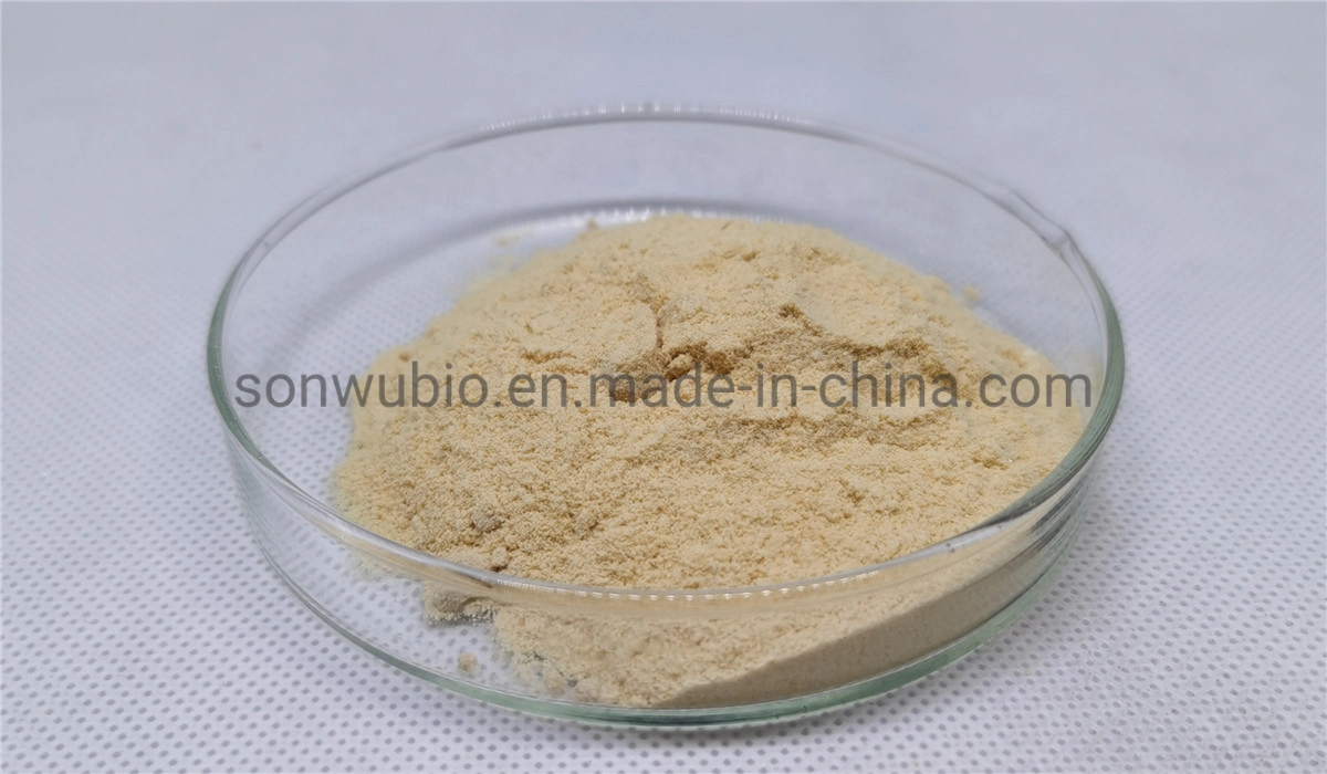 Sonwu Supply Broccoli Seed Extract Factory Supply Glucoraphanin