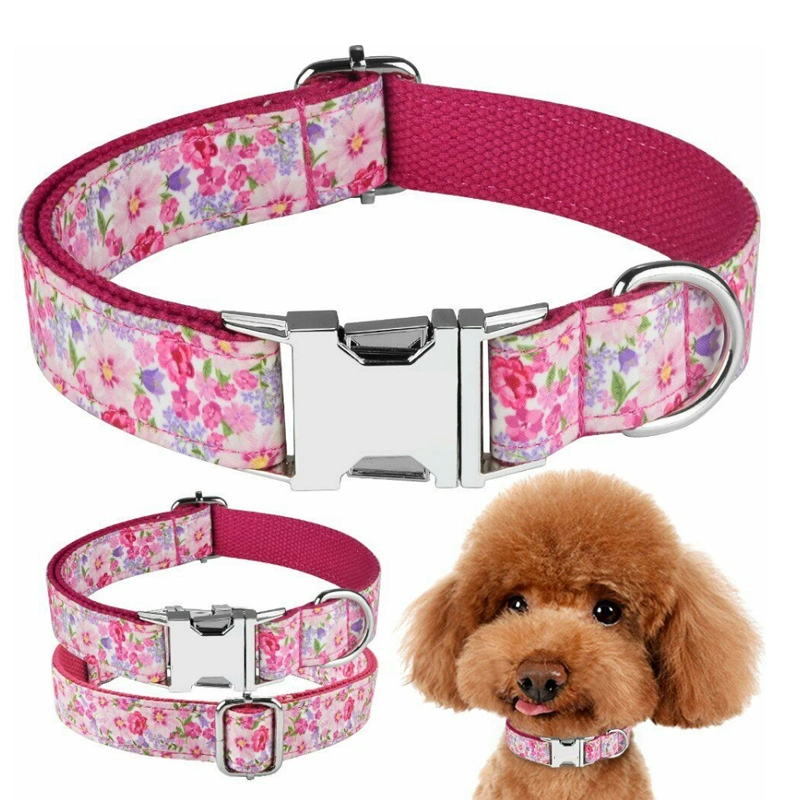 OEM Fashion Personalisierte benutzerdefinierte Luxus Hundehalsbänder und Leashes Metall Schnallen
