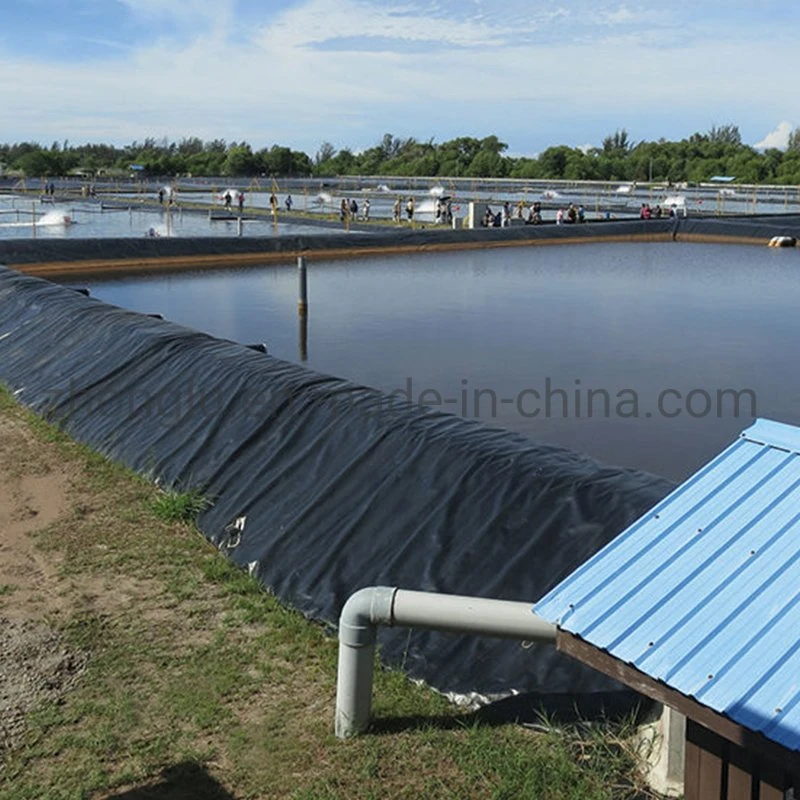 Factory Price 20 Mil Pond Liner HDPE Plastic Geomembrane Sheet