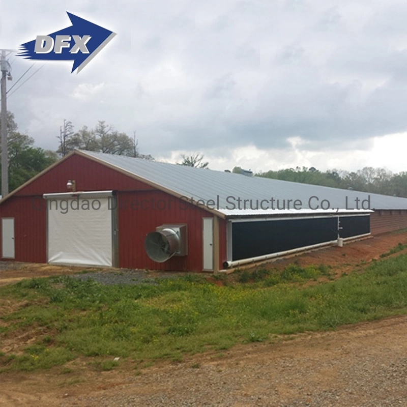 High quality/High cost performance  H-Type Galvanized Steel Frame Chicken House Poultry Farm Shed