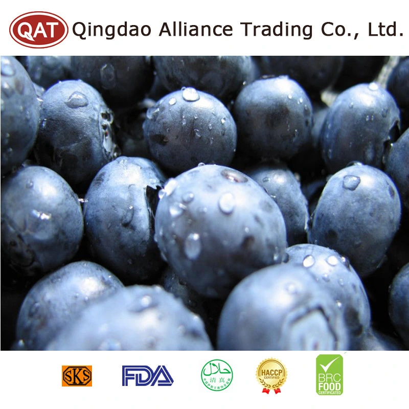 Wild Cultivated 100% Natural Organic Frozen Blueberry