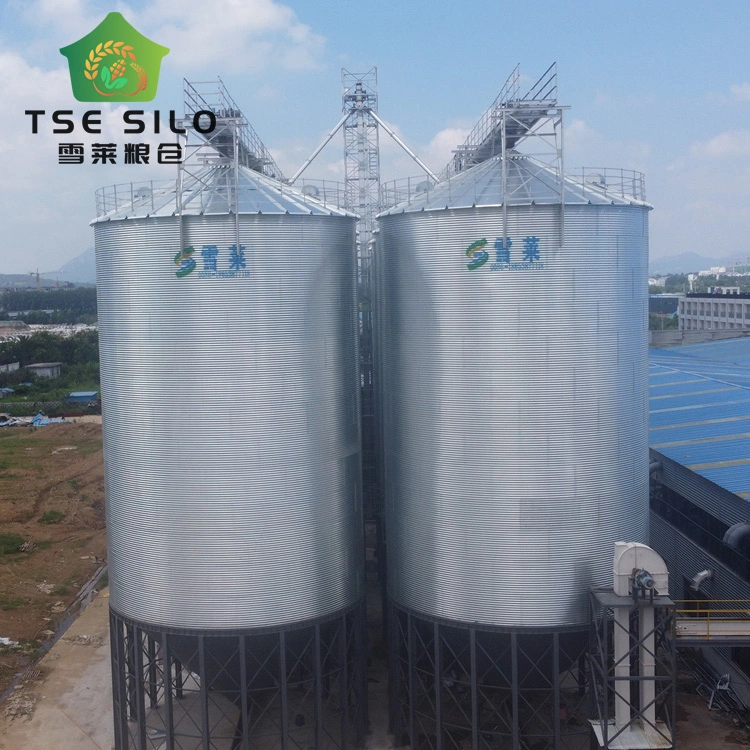 Full Automatic Hot Galvanized 51ton Steel Silo for Animal Food with Cone Bottom